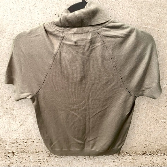 Premise Short Sleeve Turtleneck Sweater - Picture 2 of 5